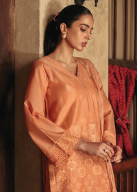Sheenoor - 3pc suit