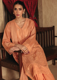 Sheenoor - 3pc suit