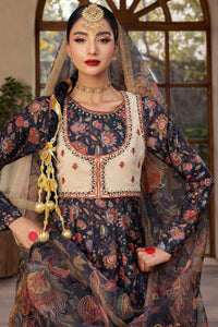 Parizad - 2 Piece - Raw Silk(Peshwas including qoti/Dupatta) - Stitched - Ghonche Official